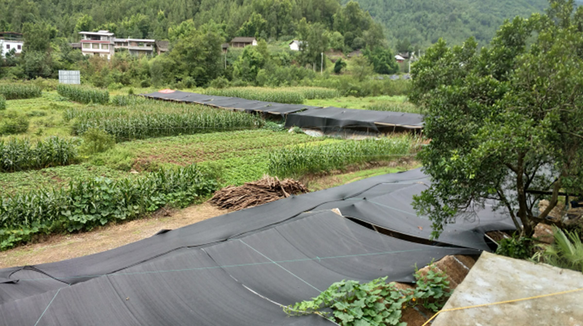 重庆野山珍商贸有限公司,重庆野山珍商贸