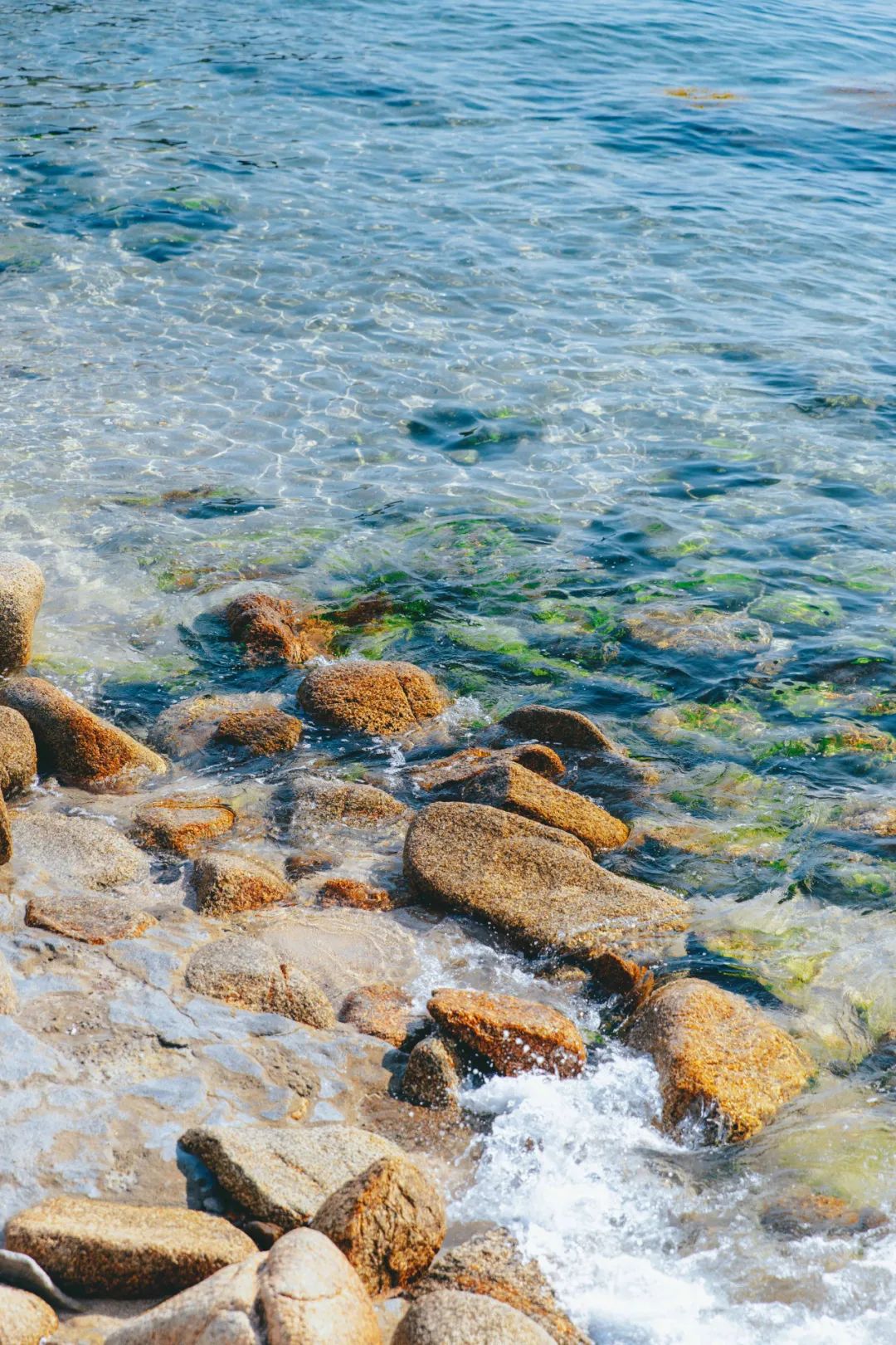 深圳盐田全攻略自由行,深圳盐田旅游攻略