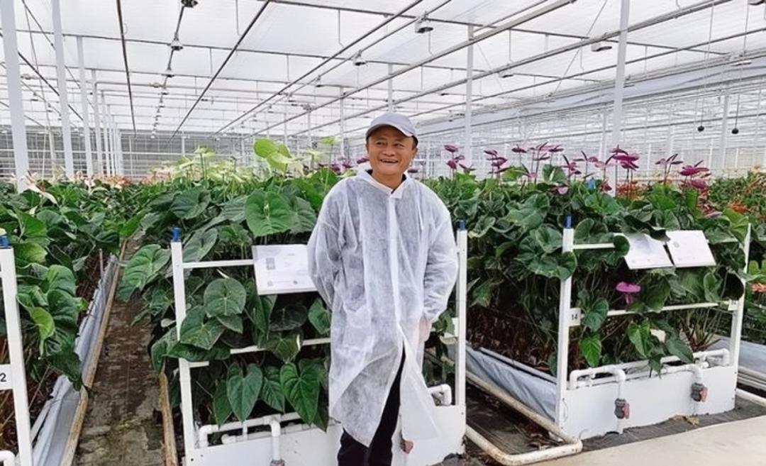 拼多多农场电商行动计划,拼多多和智慧农业