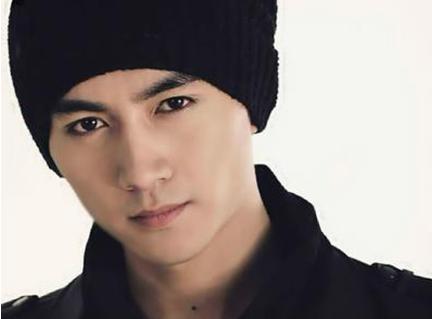 十大帅哥排行榜90年代,中国十大80后帅哥排名