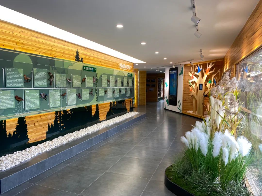 太仓网红打卡地春风十里,网红打卡地太仓也有彩虹路