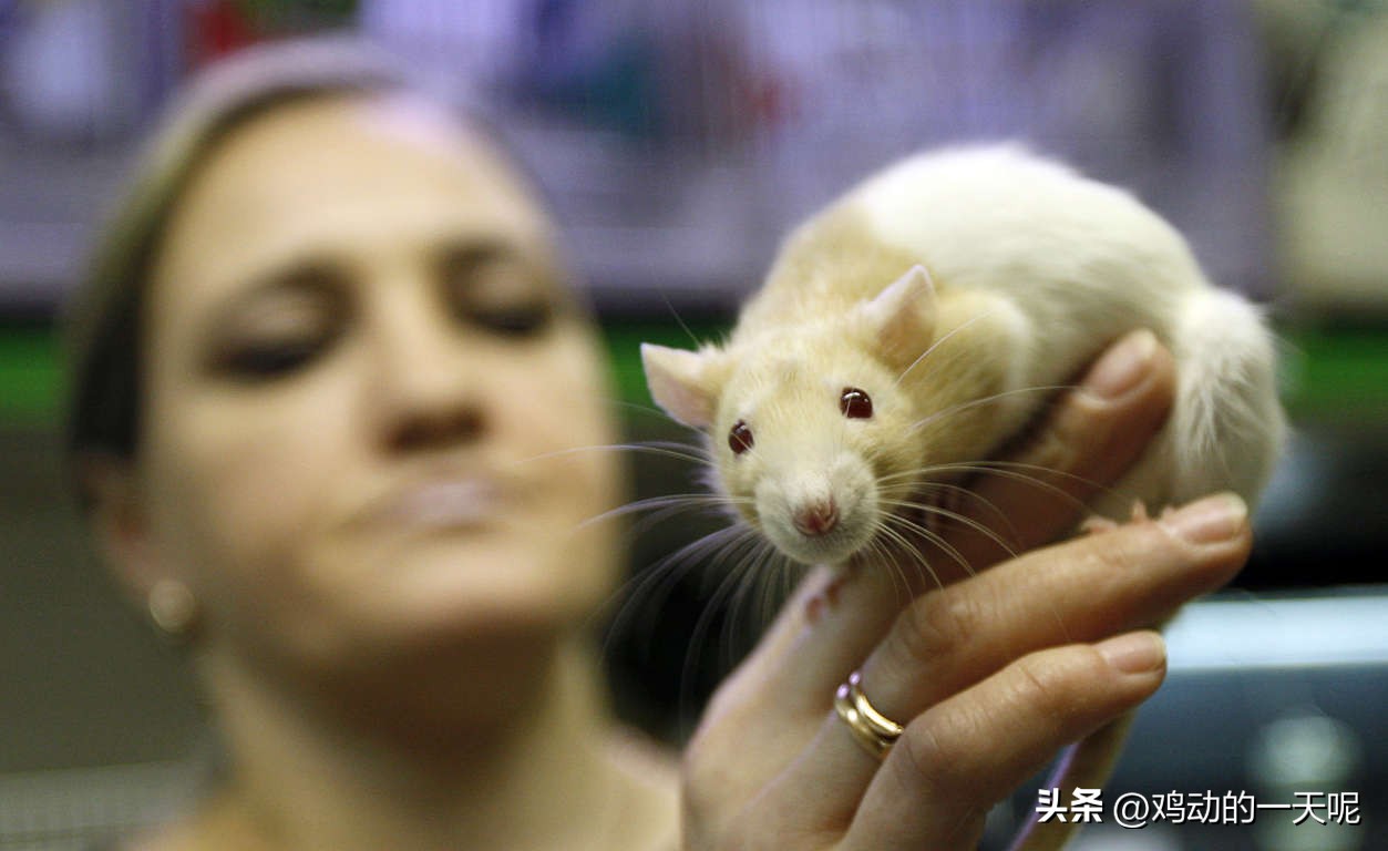 亲吻是不是有益于身体健康,亲吻科普小知识