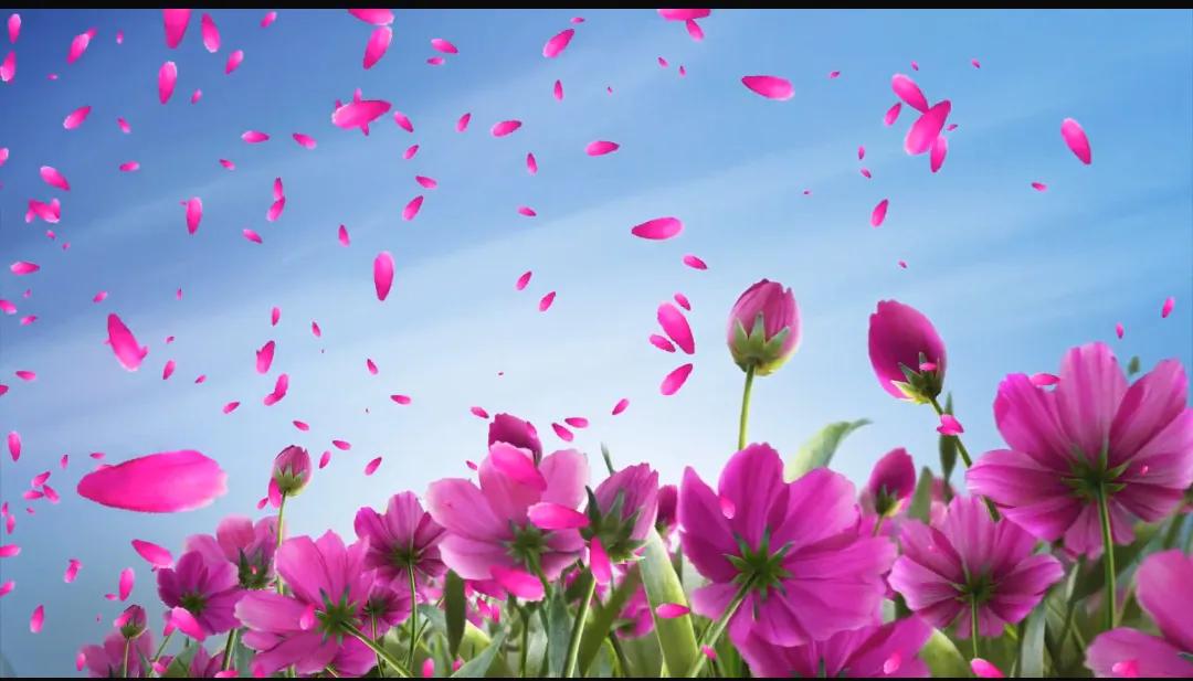 夫妻吵架了男人不理你怎么挽回,夫妻吵架后老公不理你什么心态