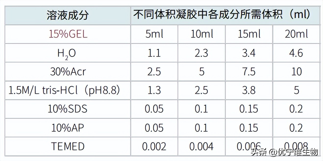 真核原核生物细胞壁,真核生物标记基因