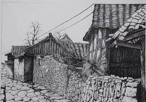 有关二丫的小说,二丫小说