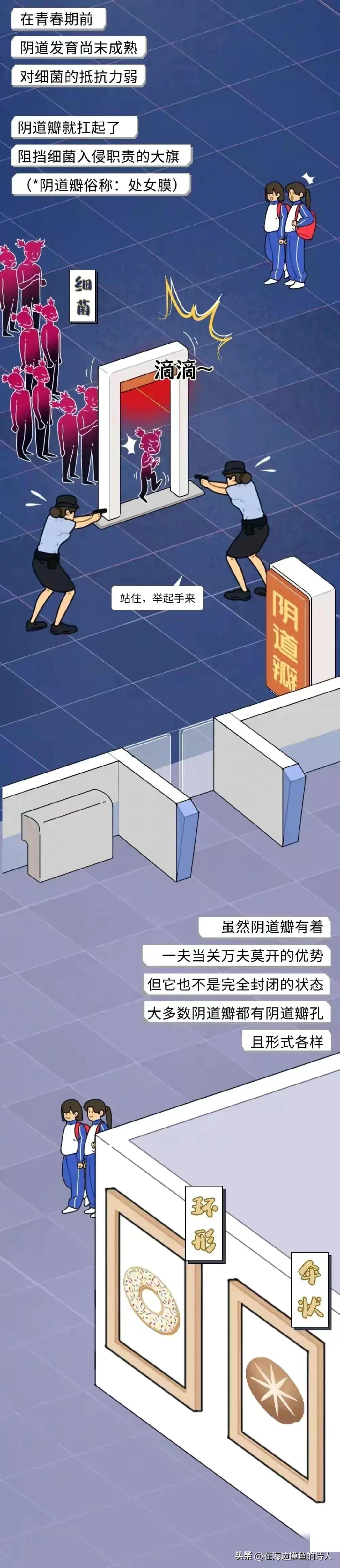 女生生理结构冷知识科普,奇妙的女孩子