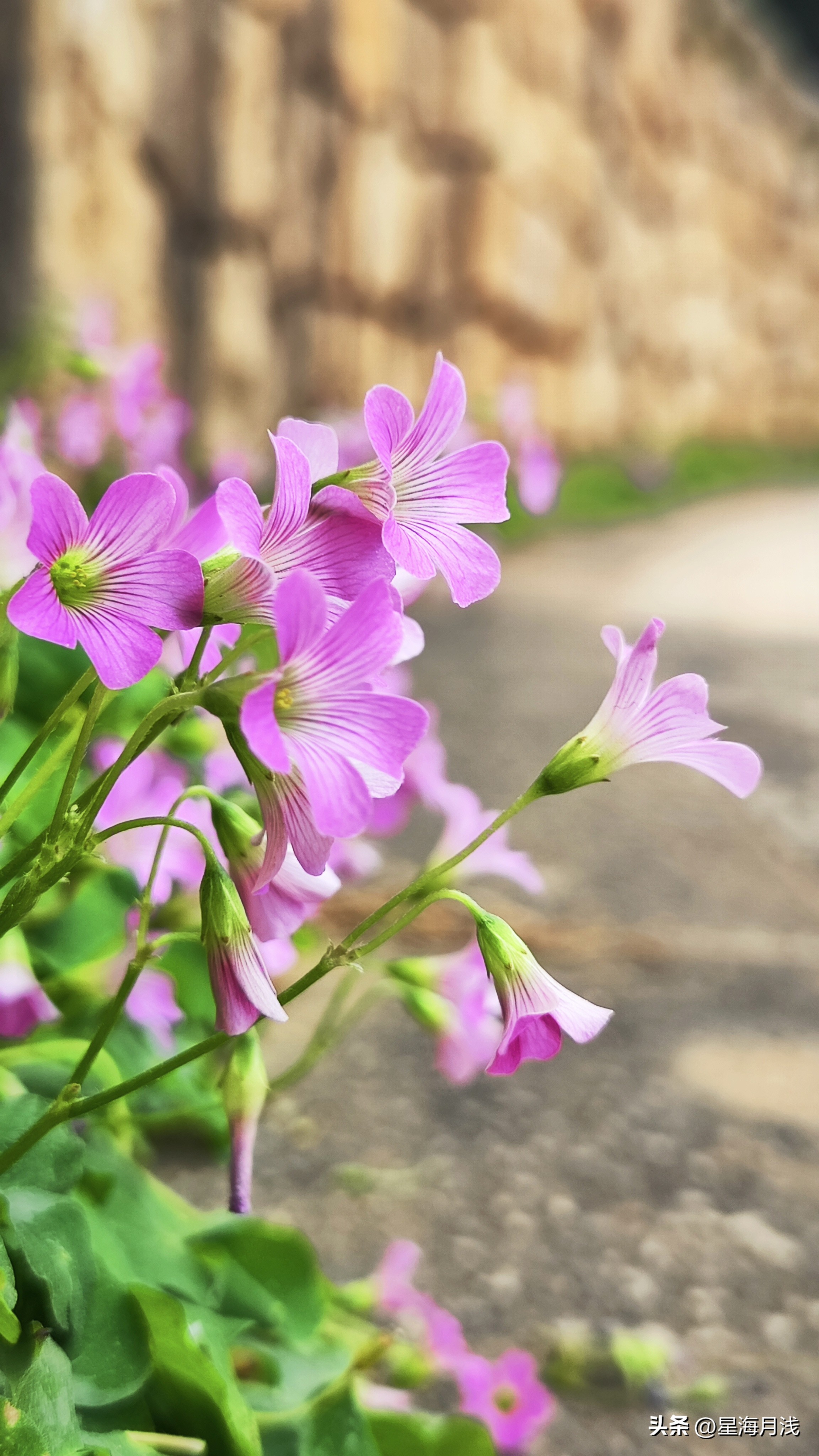 带你玩遍广州所有的儿童公园,广州免费公园遛娃好去处