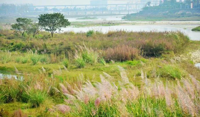 白河湾故事,南阳白河湾故事