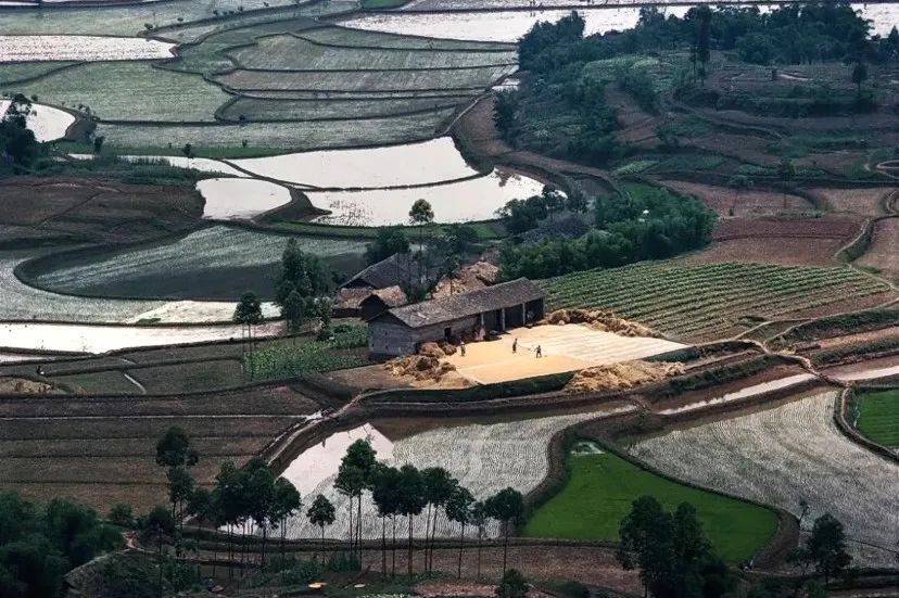 真的也能拍？难道大师只是空有头衔？