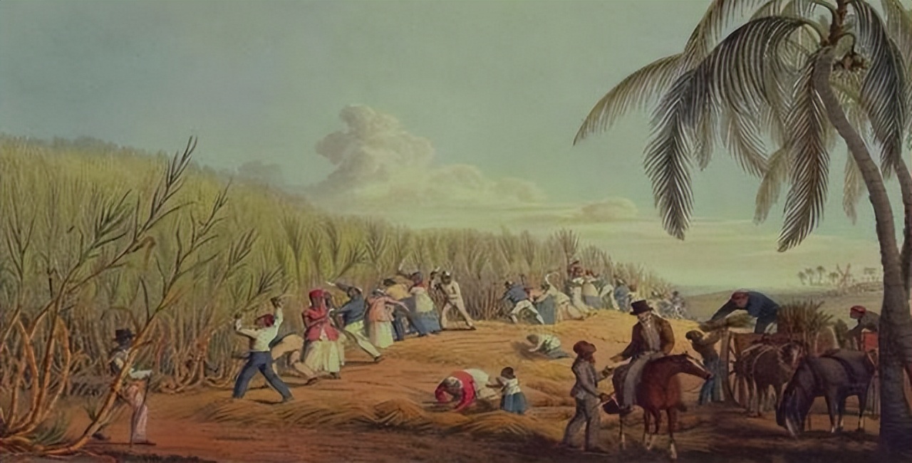 西班牙殖民思想,西班牙殖民者与印第安民族