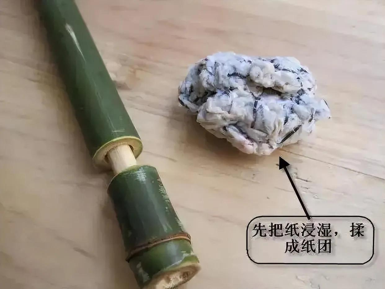 儿时回忆火药枪,儿时的回忆竹枪