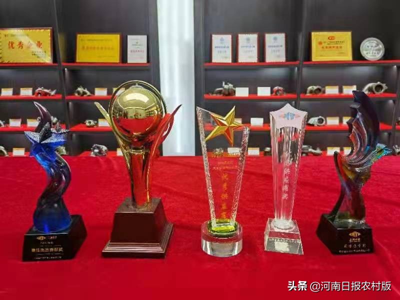 “N个第一”是这样炼成的——西峡县创新发展系列报道(之二)工业篇