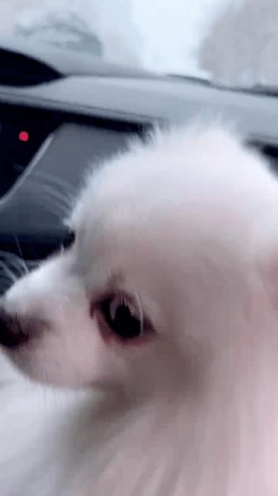 全国多少人等这一刻，等了3年