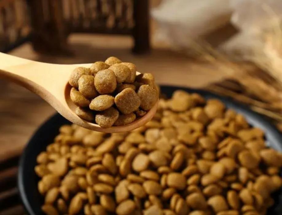 不建议新手买的狗粮,狗粮的选择避坑