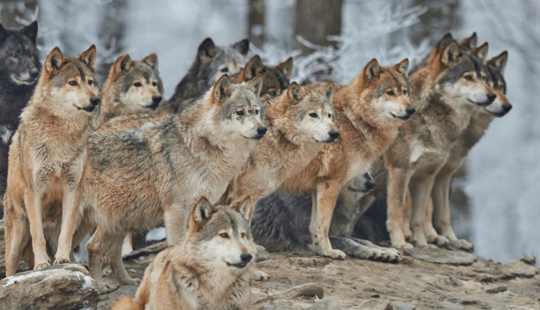 三峡能源利润下跌原因,三峡能源绩优股