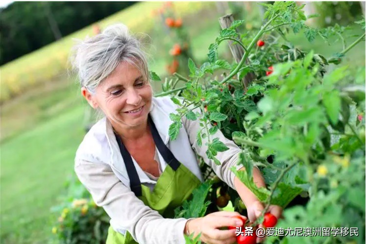 婢虫床鎵撳伐鏉′欢,婢虫床鑲夊巶鎵撳伐