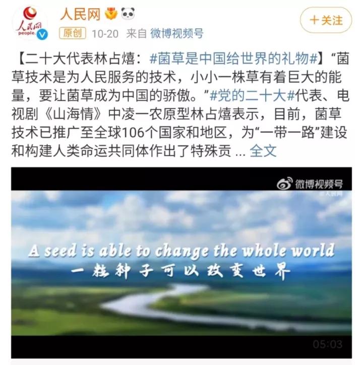 卡塔尔不工作有钱吗,卡塔尔有钱吗