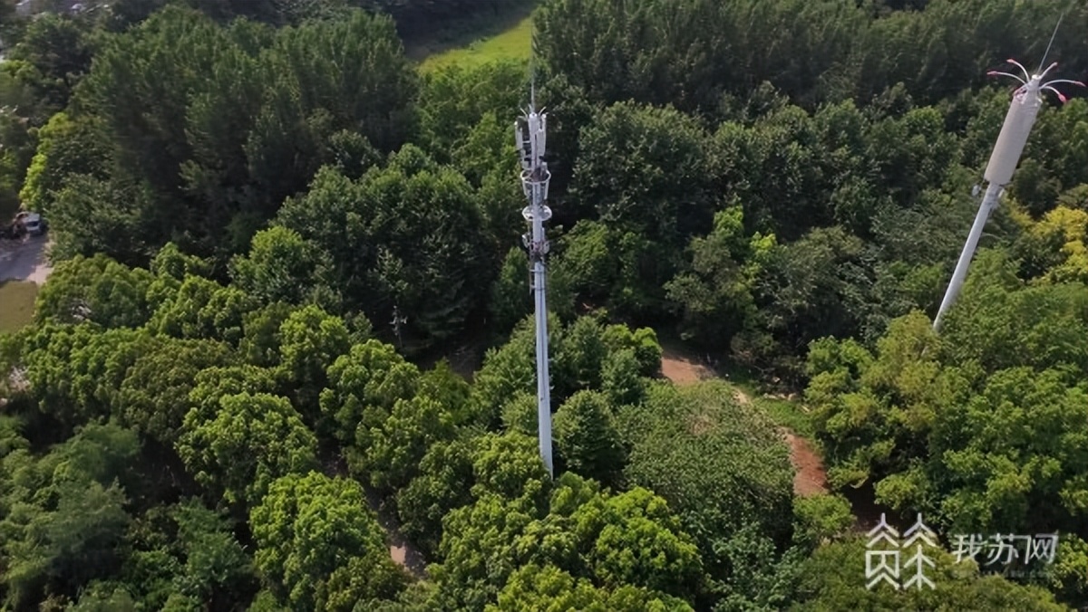 高温下的坚守建筑工人全身湿透,高温下的坚守致敬烈日下的建设者
