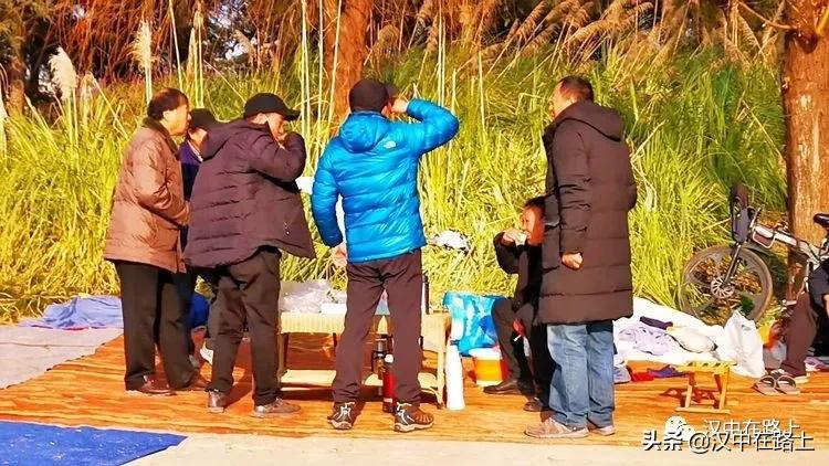 冬泳爱好者低温中畅游泳,冬泳爱好者激情畅游越冷越泳