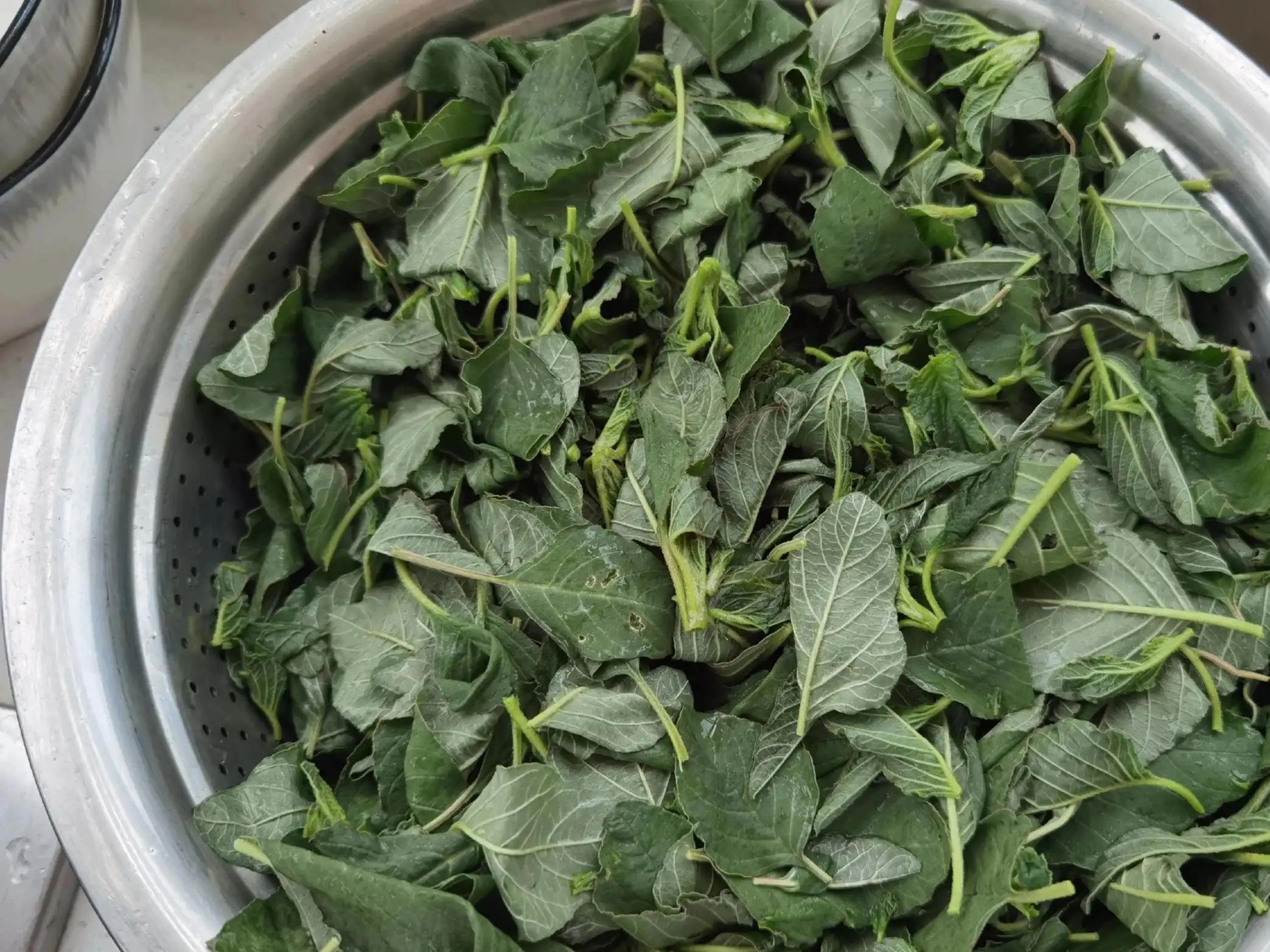 山西陵川休闲避暑胜地,清凉陵川最新视频