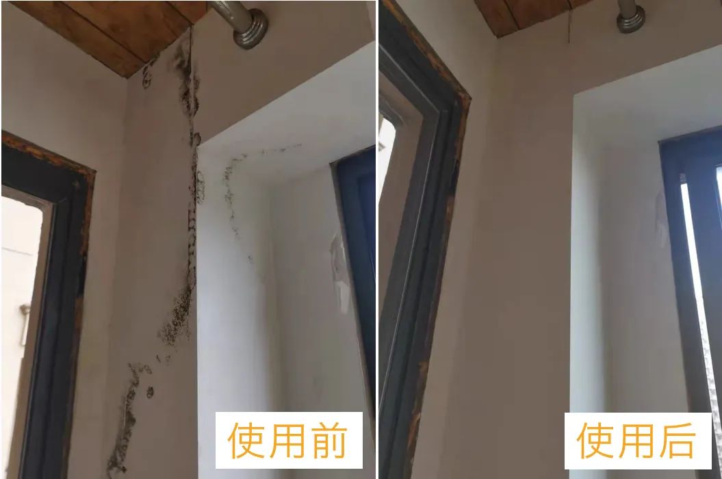 夏天屋内霉斑,下雨受潮的霉斑怎么清洗