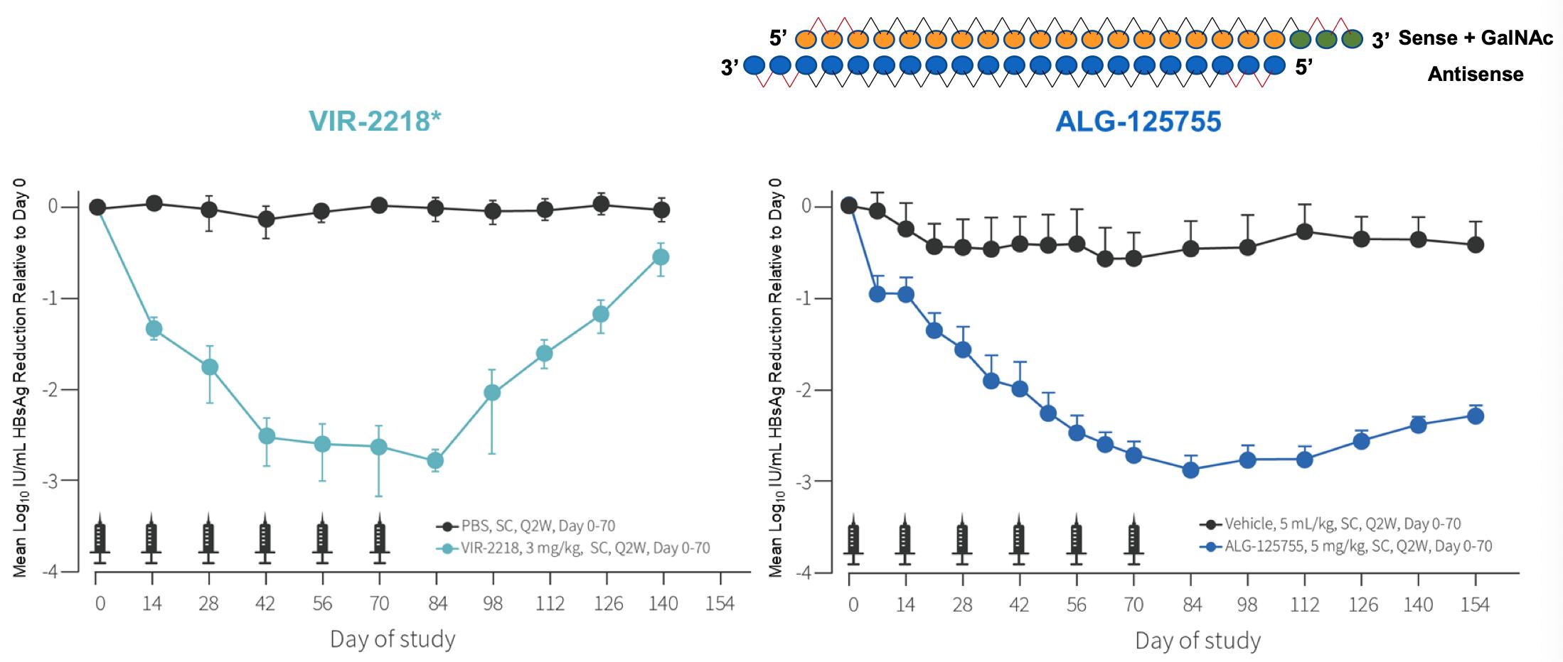 涔欒倽鏂拌嵂taf涓村簥璇曢獙,涔欒倽涓村簥鏂拌嵂2024
