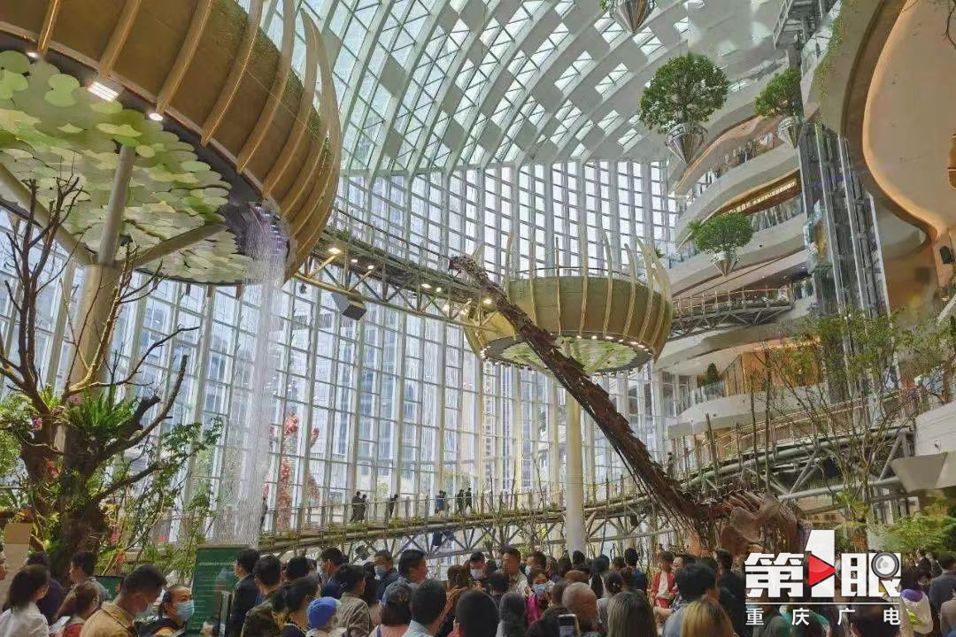 盘点最火“五一”重庆*级A**景区接待游客641.26万人次