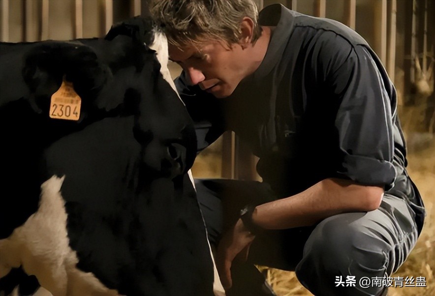 田园牧歌生活感受,田园牧歌纪录片