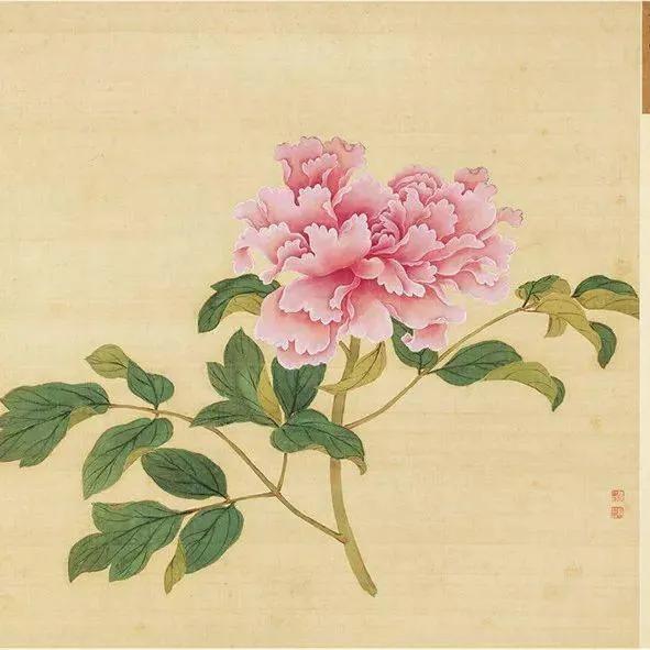 蒋廷锡牡丹画法,蒋廷锡百种牡丹画法