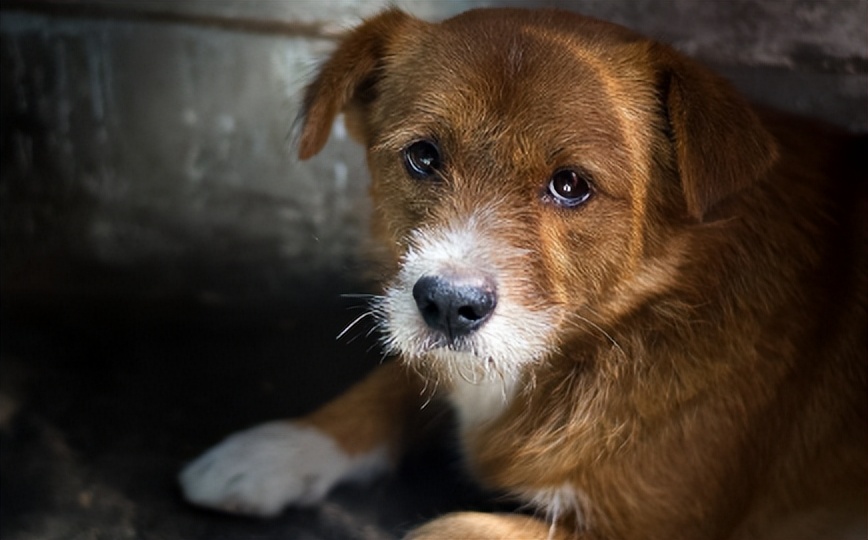 带你了解你不知道的那些泰国事,泰国冷知识带你了解真实的泰国