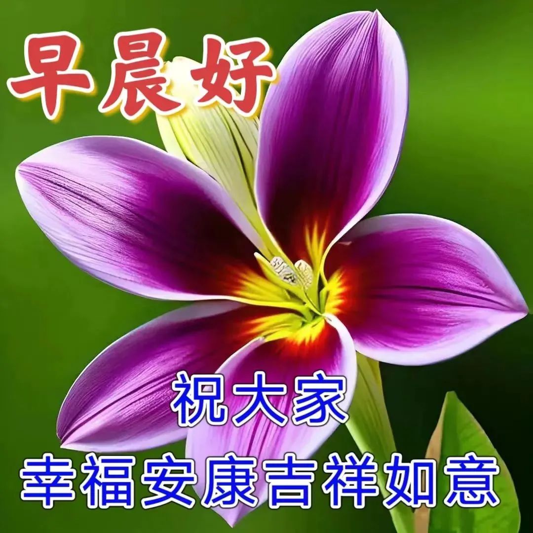 早安心情短语温暖,问候早安语录伤感句子