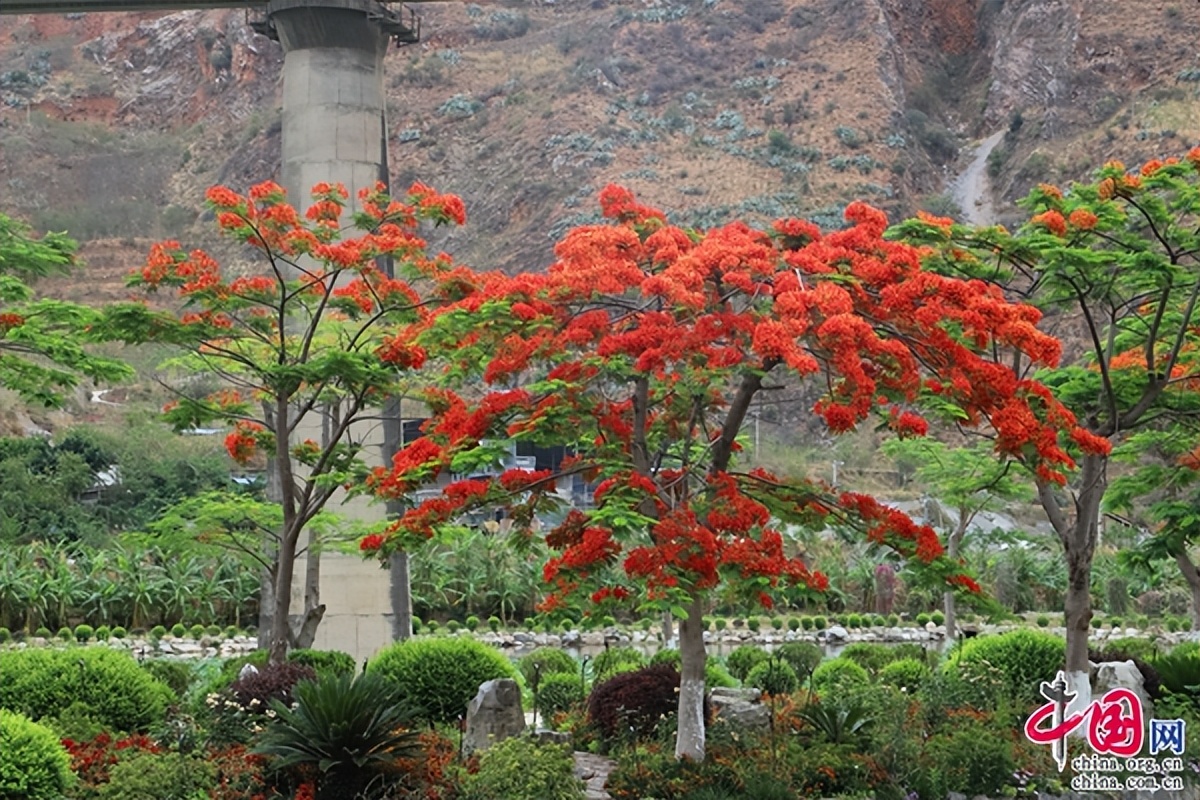 缁跨編浜戝崡鏄嗘槑,缁跨編鏄嗘槑缁樼敾
