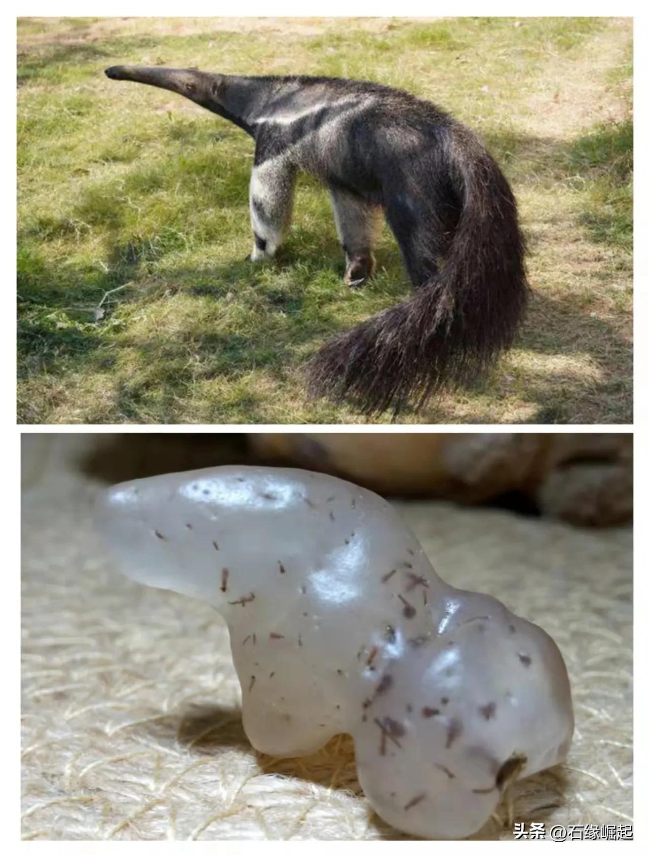 小小石头的奇妙旅程,小小石头的几大妙用