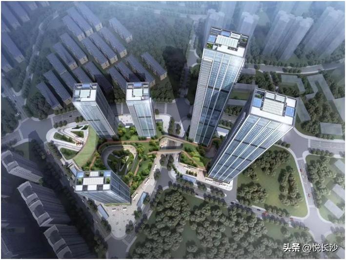 半年拿下35亿，硬核运达再次引领豪宅市场