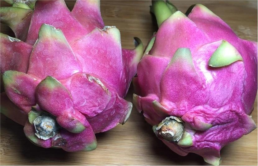 火龙果的种植条件和管理技术,火龙果的种植方法及注意事项