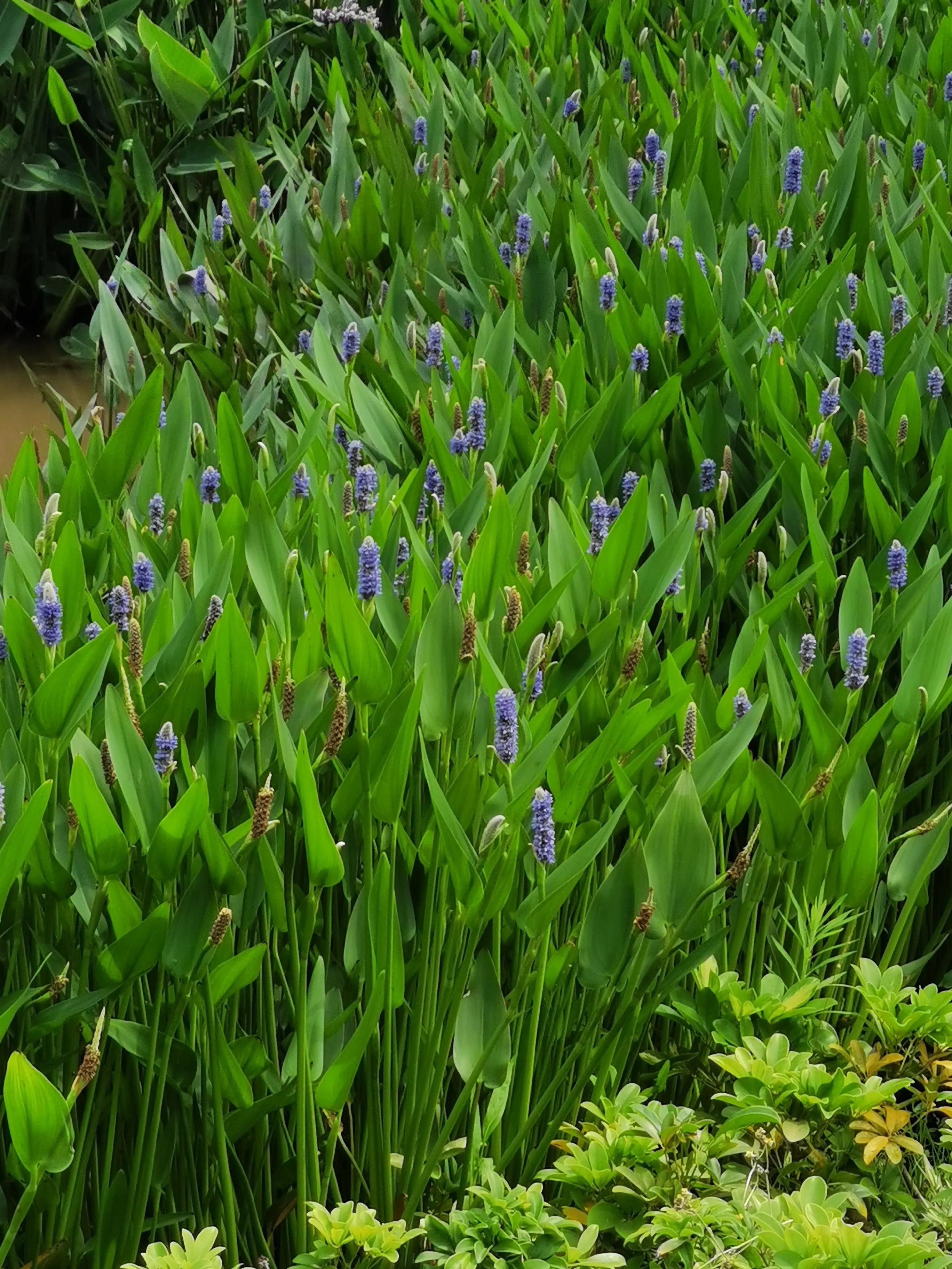 彩虹出来的时候有云吗,彩虹出来的时候