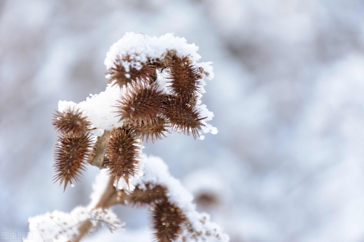 感冒发烧引起的头痛,感冒发烧会引起呕吐吗