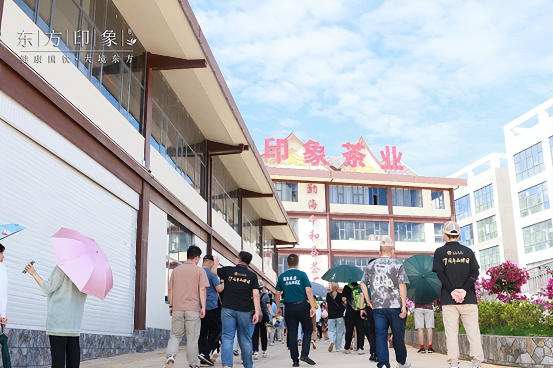 茶山体验之旅,茶山体验活动