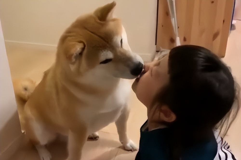 母狗喜欢舔小狗,母狗老是舔自己手是因为什么