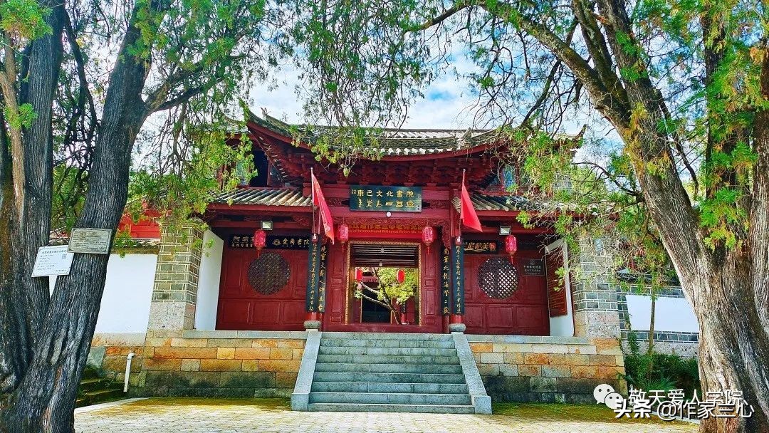 万一龙：以高维智慧，布世间大爱