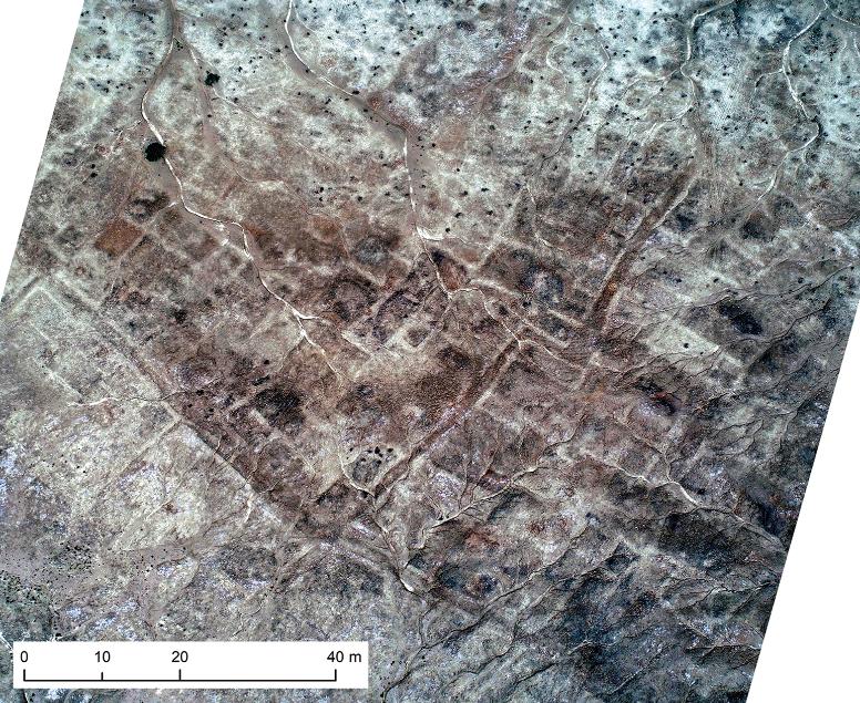 深度研究公元前3000年拉格什地区呈现出密集城市化的趋势