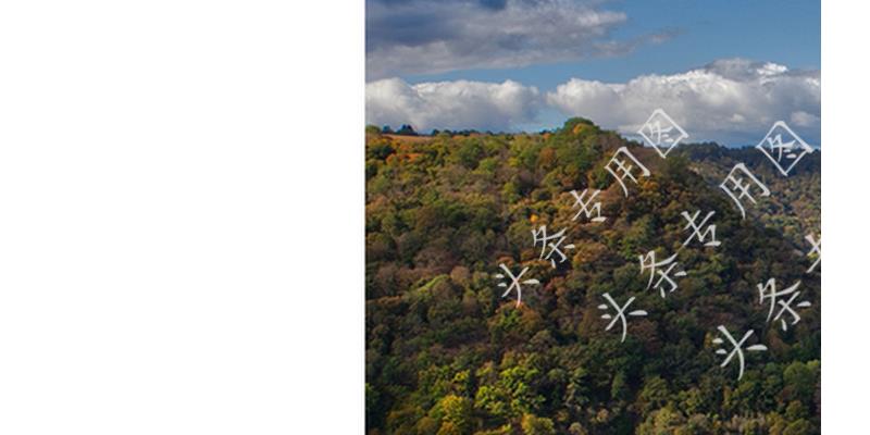 婆婆嫌弃二婚儿媳,婆婆嫌弃儿媳妇二婚