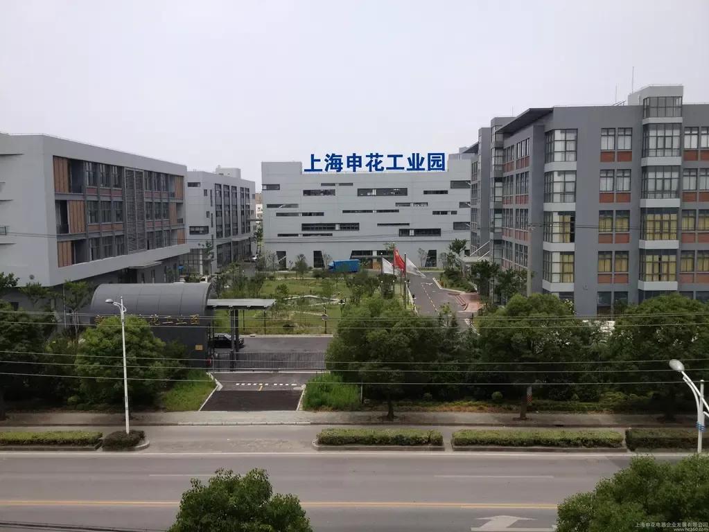 上海申花集团公司老板,上海申花队队史