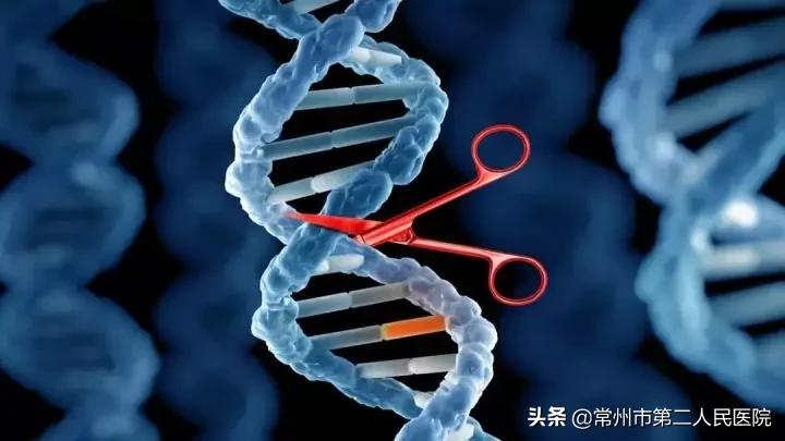 秦医生采访,秦医生的日记