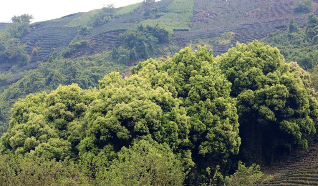 离杭州比较近的浙江城市,离杭州很近的市区