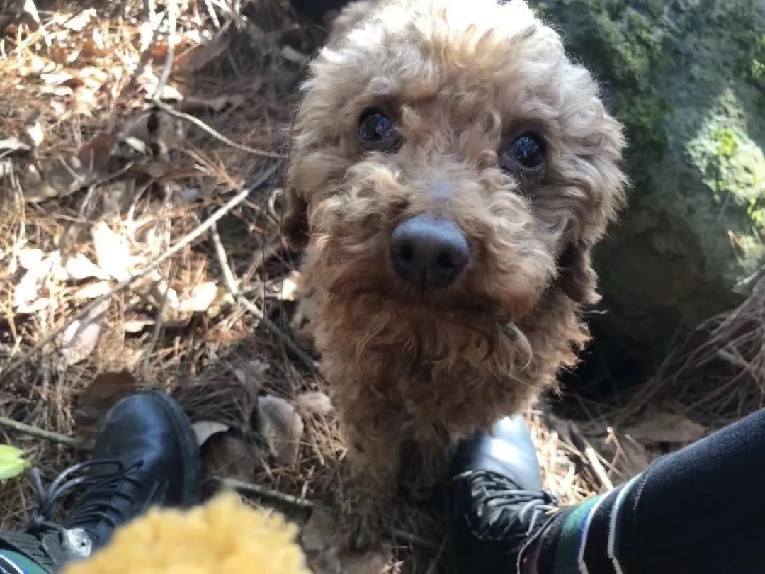 裸辞陪娃还是工作好,31岁男生裸辞后的生活真实感受