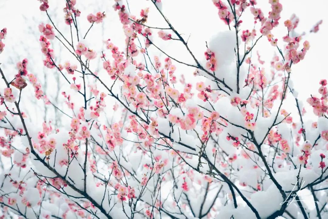 冬天的美尽在这十首诗词里,十首绝美冬天诗词