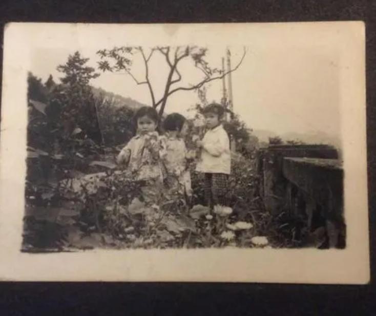 为什么彩色照片时间久了会褪色,为何现在的照片都会褪色模糊