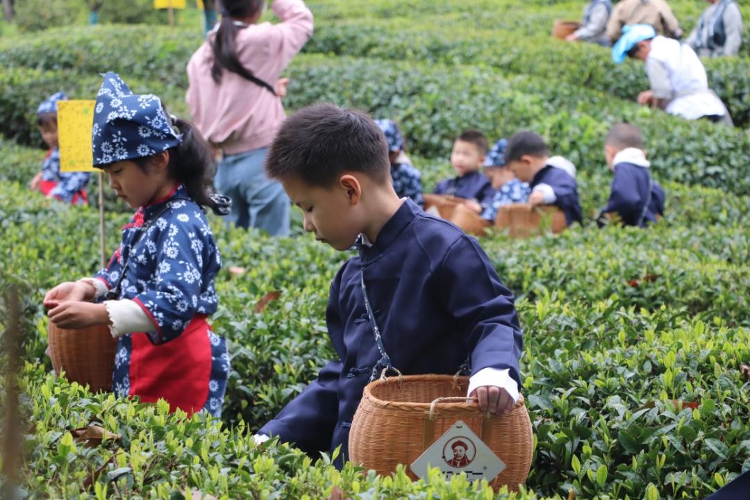 古徽州秋季自由行攻略,寻梦江南水墨徽州皖南古村落游记