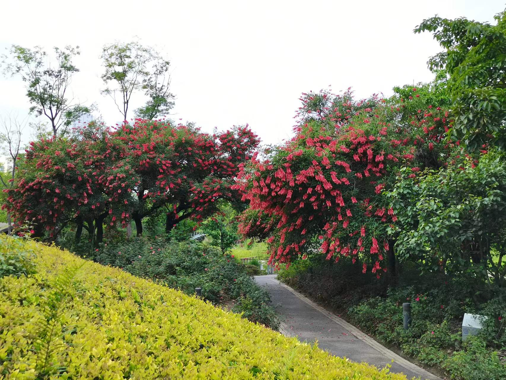 天府新区天府花香谷,成都天府新区花谷
